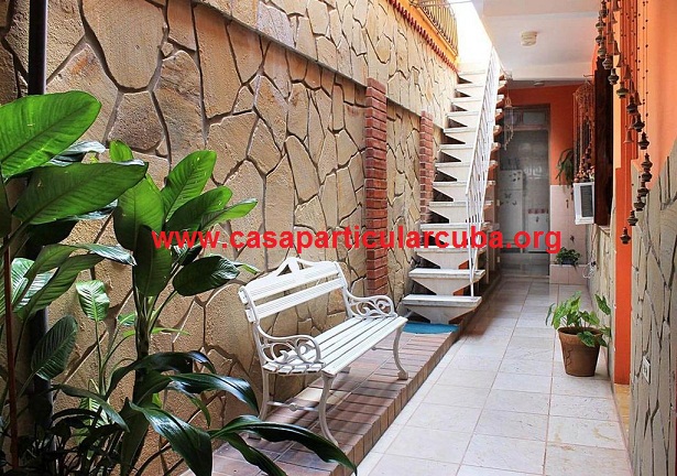 'Patio interior' Casas particulares are an alternative to hotels in Cuba.